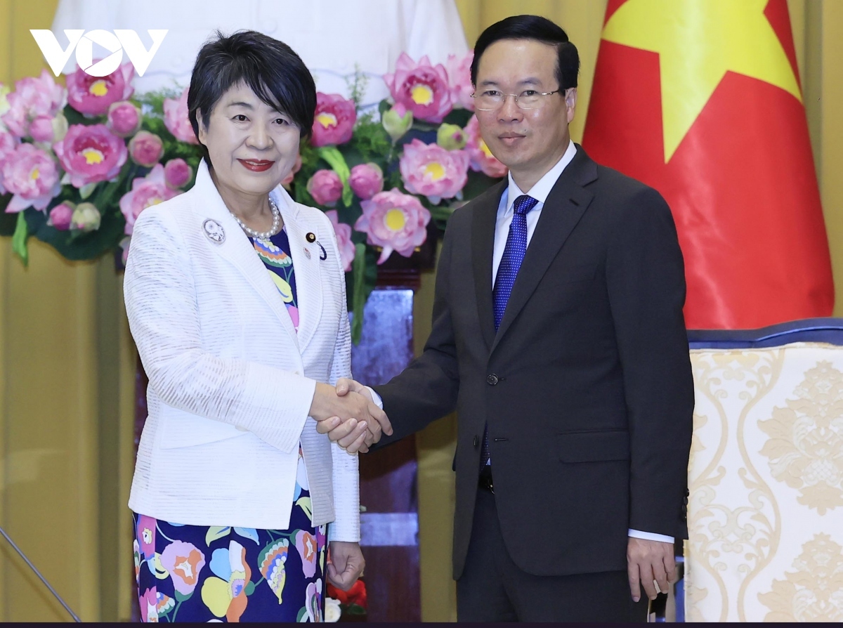 State President Vo Van Thuong receives new Japanese diplomatic chief